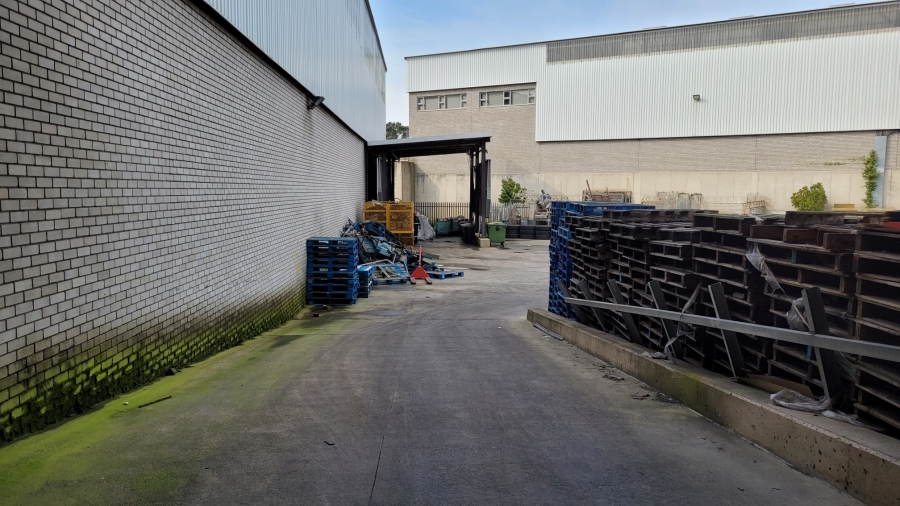 To Let commercial Property for Rent in Montague Park Western Cape